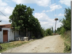 Hisaraltı