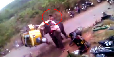 Elephant Attack In Palakkad Kerala |Latest News