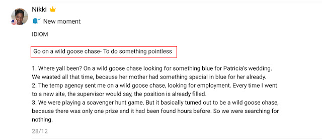 Arti Go On a Wild Goose Chase