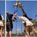 Boy Inadvertently Gets Lifted Into The Air While Trying To Feed Giraffe