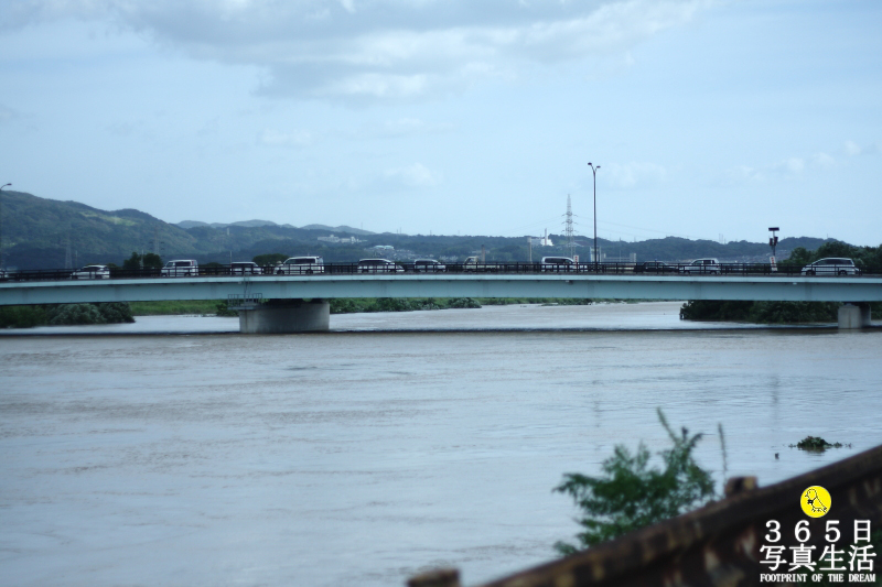 豪雨の後の隠元橋 2013