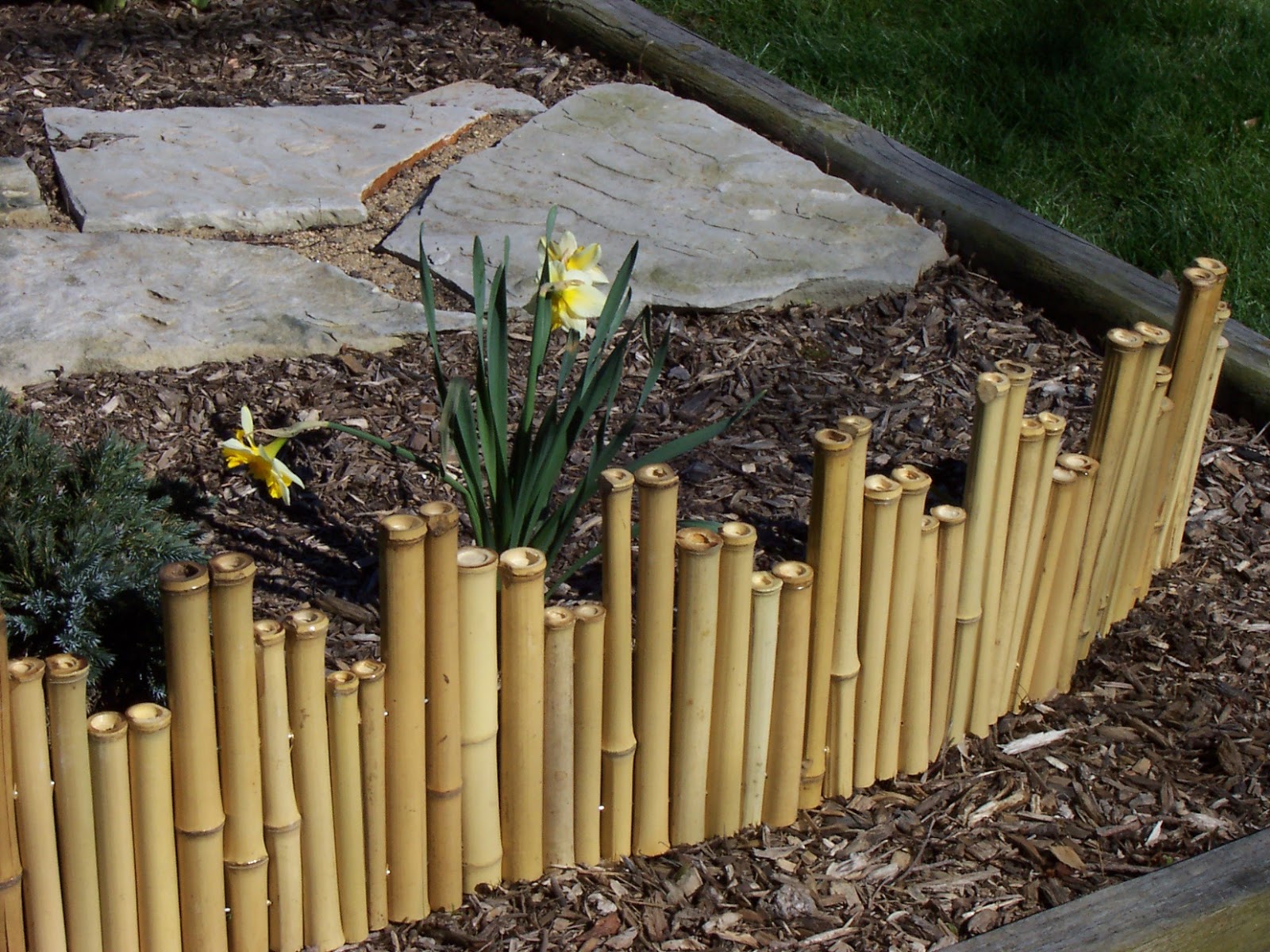 Bamboo Garden Fencing1