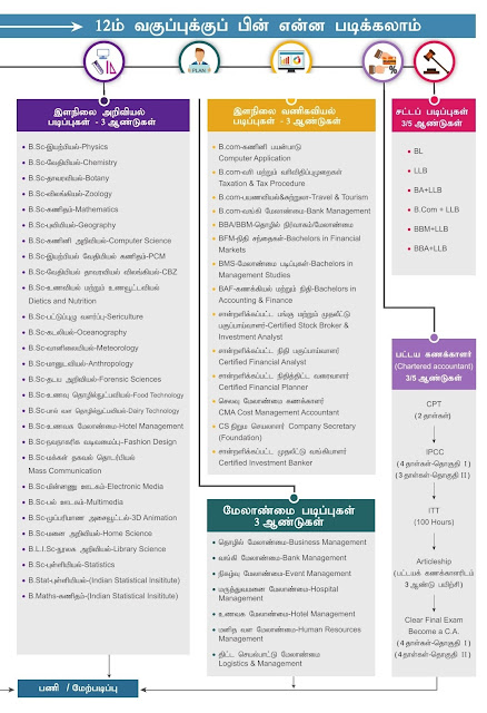 12ம் வகுப்புக்கு பின் என்ன படிக்கலாம் ? - பள்ளிக்கல்வித்துறை வழிகாட்டி பதிய பாடத்திட்டத்தில் வெளியீடு.