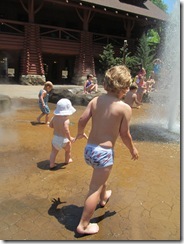 zoo 041
