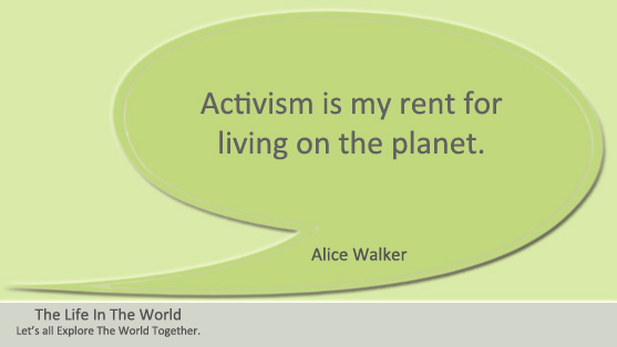  12 Alice Walker Quotes - The Life In The World