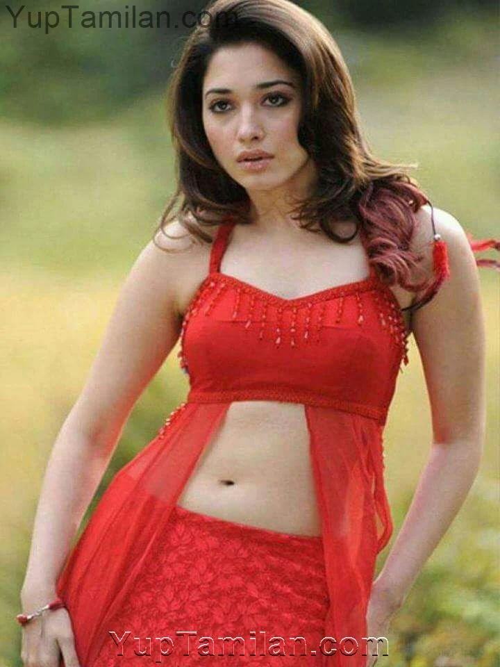 Tamanna Hot Navel Show-Belly Pics