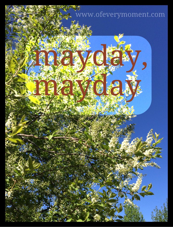 May 1st - a mayday distress call or a day to celebrate?