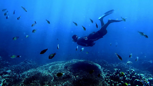 Taman Laut Olele