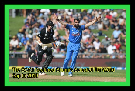 The BCCI Declared Shami's Selected For World Cup In 2019