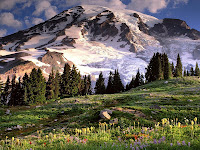 Nature Wallpapers5