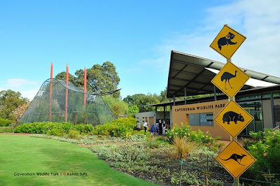 Caversham Wildlife Park