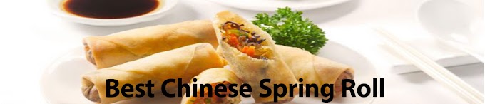 Best Chinese Spring Roll