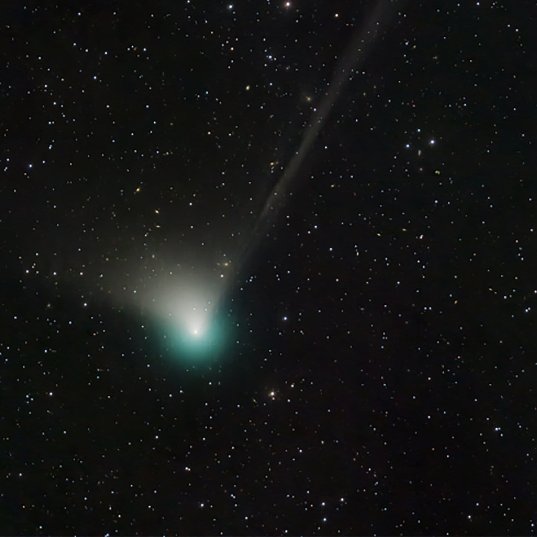 Какая комета сегодня. Комета c/2022 e3 (ZTF). Зеленая Комета 2023 с земли. Комета 1 февраля 2023. Комета c1811f1.