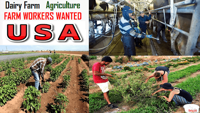 do you want apply for jobs in usa at Farm workers