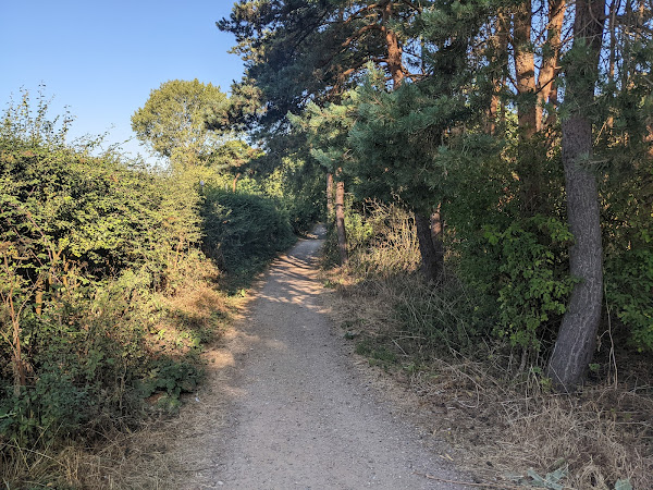 Gravel path through the woodland