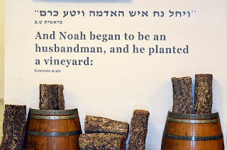 golan heights winery bible verse noah vineyard