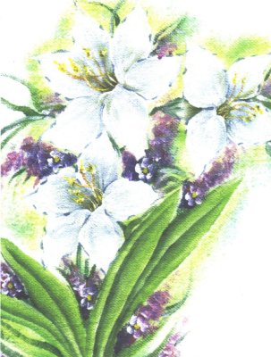 pintura em tecido flores pano de prato