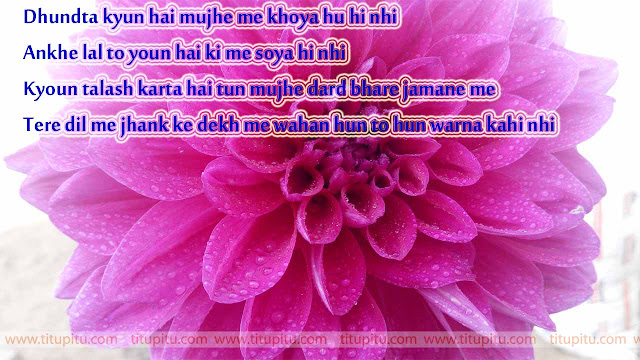 Great-love-shayari-in-Hindi-for-Lover