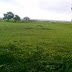 Hinjewadi 5 Acres Plot For Sale & JV at Hinjewadi IT park,Pune, Mumbai, Maharashtra