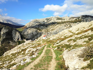 cabrales, fromage cabrales, fromage espagne, fromage asturies, la laiterie de paris, blog fromage, blog fromage maison, voyage fromage, tour du monde fromage, pierre coulon, fromagerie urbaine, fromagerie paris 