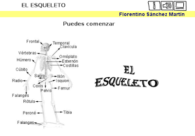 http://cplosangeles.juntaextremadura.net/web/tercer_curso/naturales_3/esqueleto_3/esqueleto_3.html