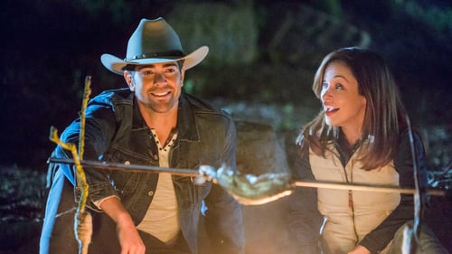 A Country Wedding 2015 pelicula completa