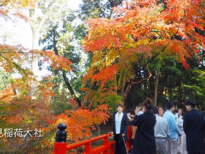 √100以上 伏見稲荷 紅葉 179927-伏見稲荷 紅葉 見ごろ