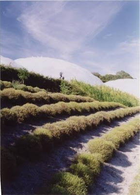 The Eden Project by Frederica Patmore