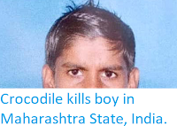 https://sciencythoughts.blogspot.com/2019/05/crocodile-kills-boy-in-maharashtra.html