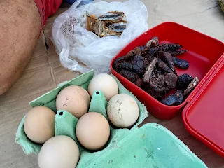6 eggs in a carton, dry fruits in a plastic box, dry fish in a plastic bag.