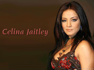 Cool Quotes Blogs Celina Jaitley Wallpapers