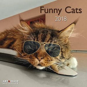 Funny Cats 2018: A&I Broschürenkalender