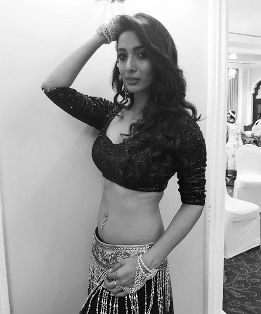 Heena panchal spicy navel pics