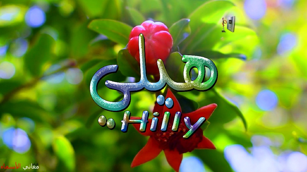 معنى اسم, هيلي, وصفات, حاملة, وحامل, هذا الاسم, Hailey,