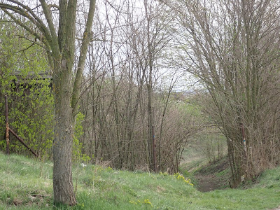 Miłek wiosenny, rezerwat Skorocice, rezerwat Przęślin