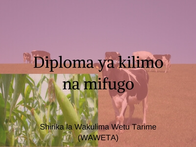 Nafasi ya kazi: Mratibu - Shirika la Wakulima Wetu Tarime (WAWETA)