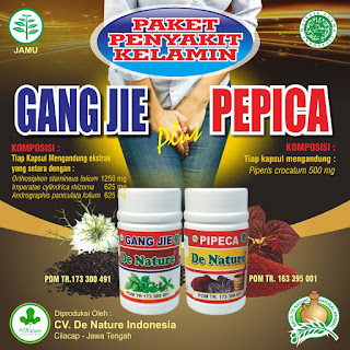 Obat Tradisional Penyakit Raja Singa (Sipilis)