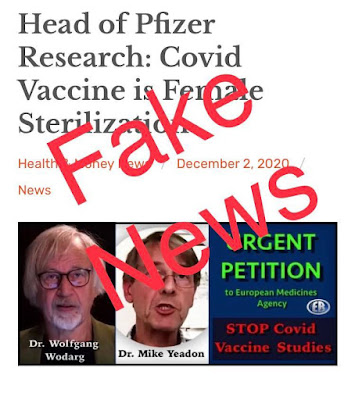 Screenshot of article headline with false emblazoned across image