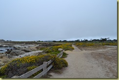 17 mile drive 2