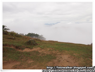 大帽山雲海