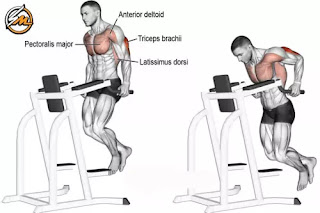 The 5 Best Lower Chest Exercises to Build Your Pecs