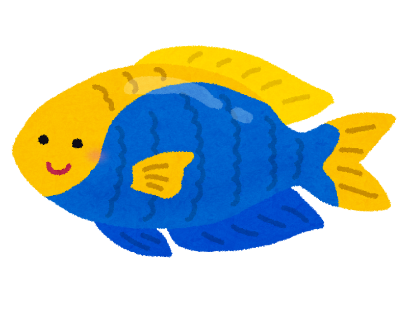 セナキルリスズメダイのキャラクター 熱帯魚 かわいいフリー素材