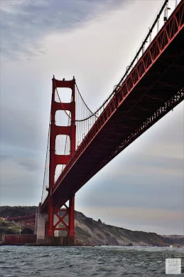 Things To Do in San Francisco | by Life Tastes Good