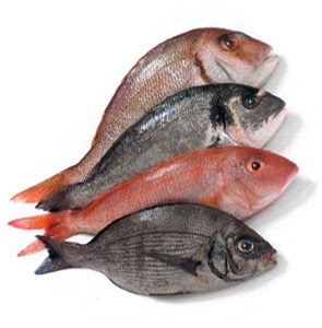 Aglio, Olio e Peperoncino: Italian fish & seafood names, translated