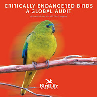 Endangered Birds List