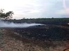 Idoso morre carbonizado após atear fogo em terreno na zona rural de Joaquim Pires