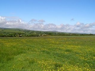 View from my back yard