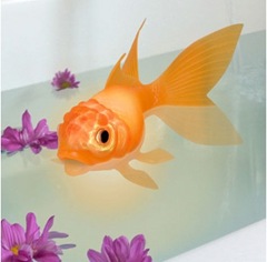 color-changing-goldfish