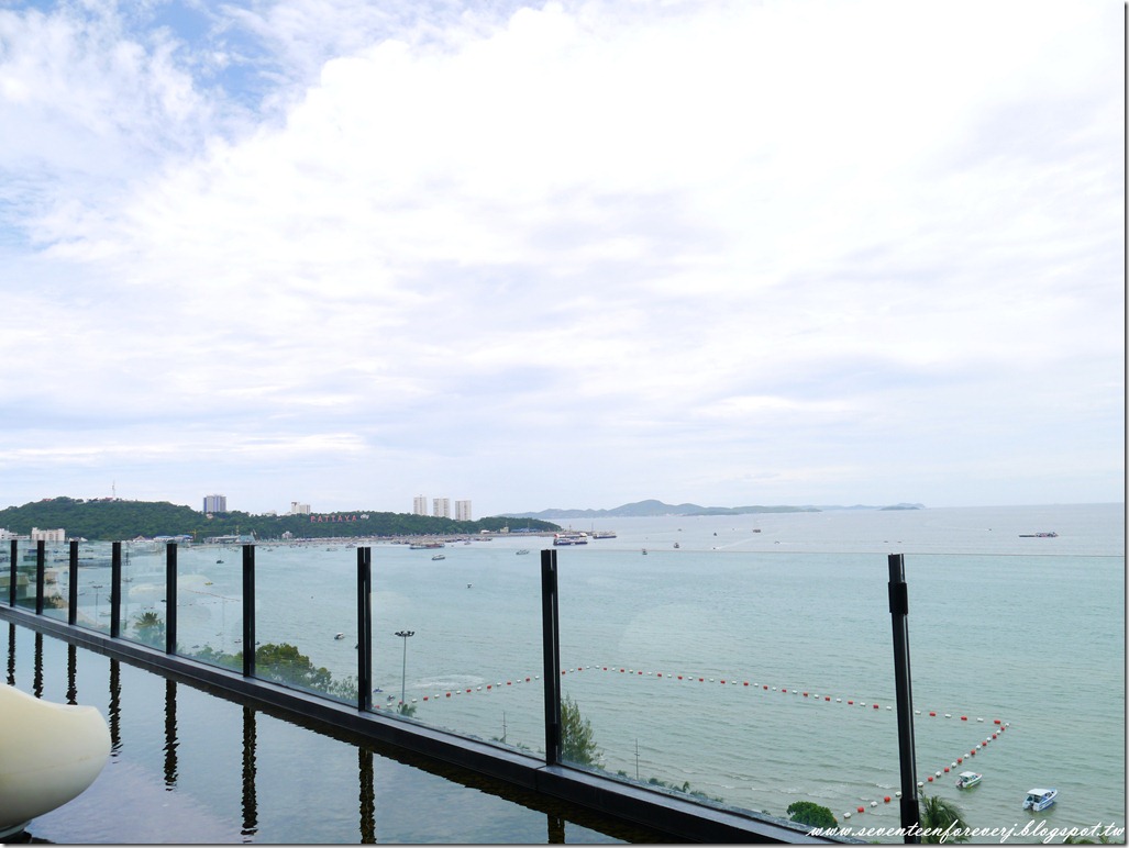 PhotoCap_015