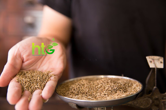 Cumin seeds in Hindi